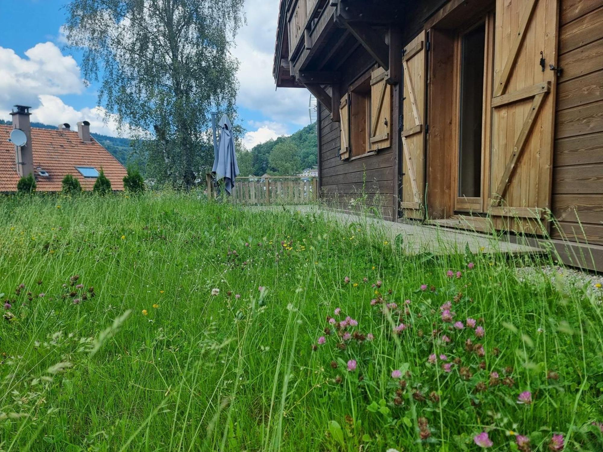Le Chalet Du Pere Michel, Jacuzzi, Sauna, Jardin Ла-Бресс Екстер'єр фото